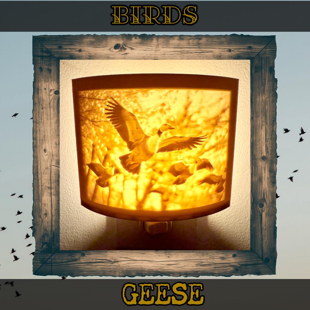 Birds | Animal Night Lights | 3D Printed Avian Wildlife Decor