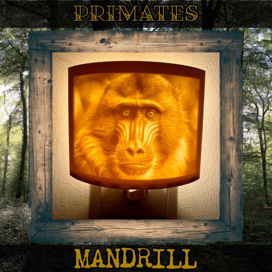 Primates | Animal Night Lights | 3D Printed Jungle Wildlife Decor