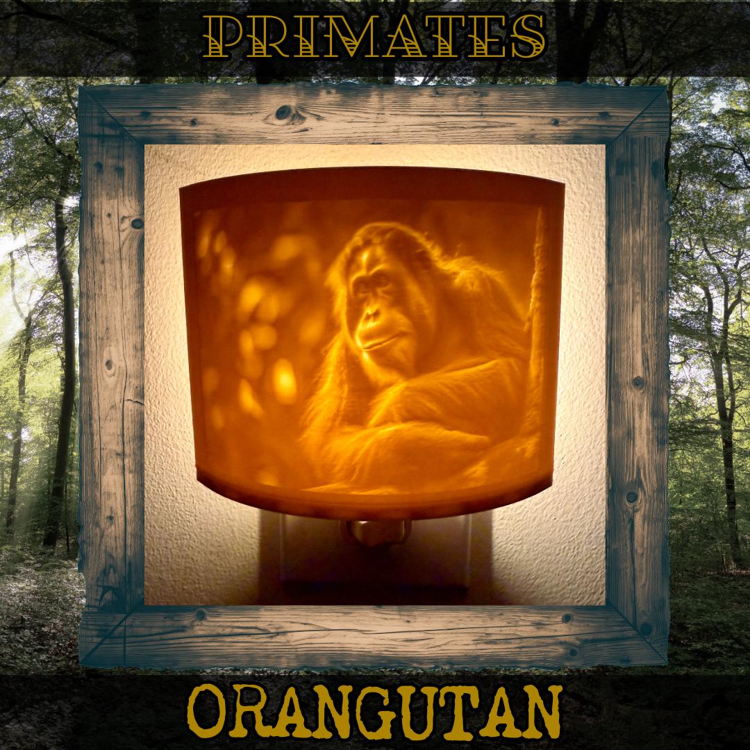 Primates | Animal Night Lights | 3D Printed Jungle Wildlife Decor