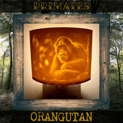 Primates | Animal Night Lights | 3D Printed Jungle Wildlife Decor