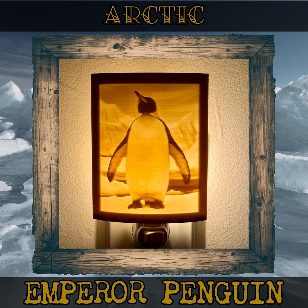 Arctic Inhabitants | Animal Night Lights | 3D Printed Polar Wildlife Decor