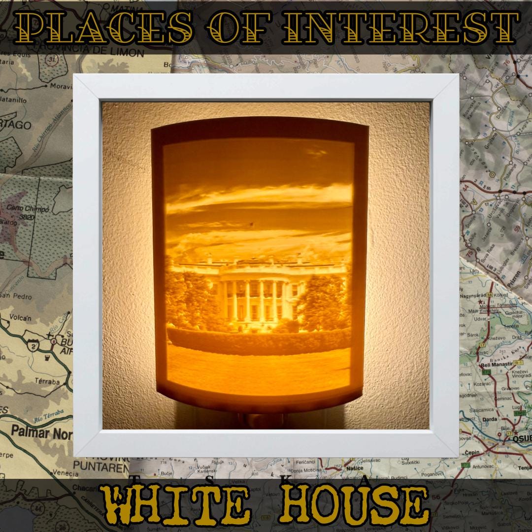 Local Sights Night Lights | 3D Printed Washington D.C. Decor