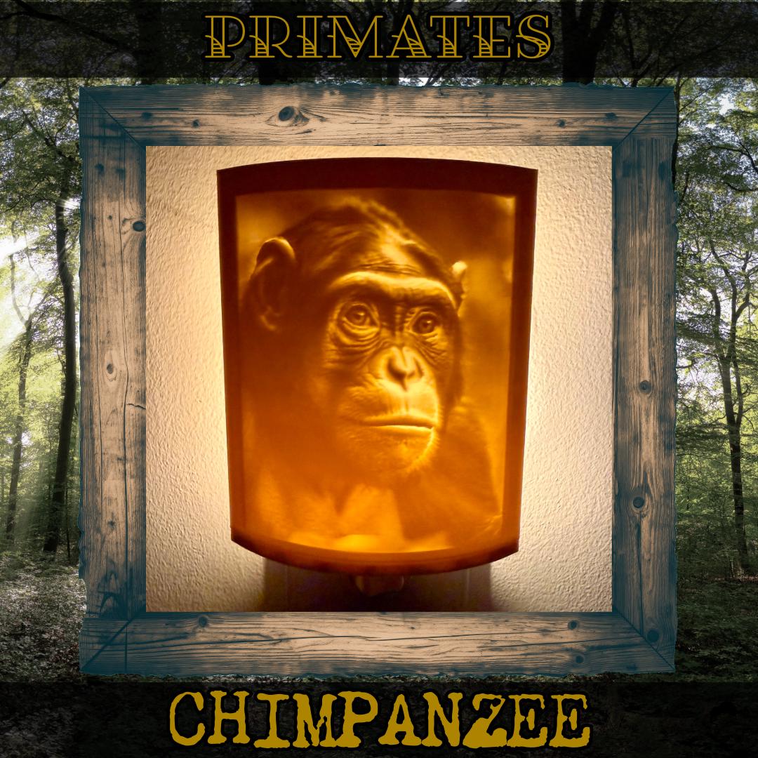 Primates | Animal Night Lights | 3D Printed Jungle Wildlife Decor