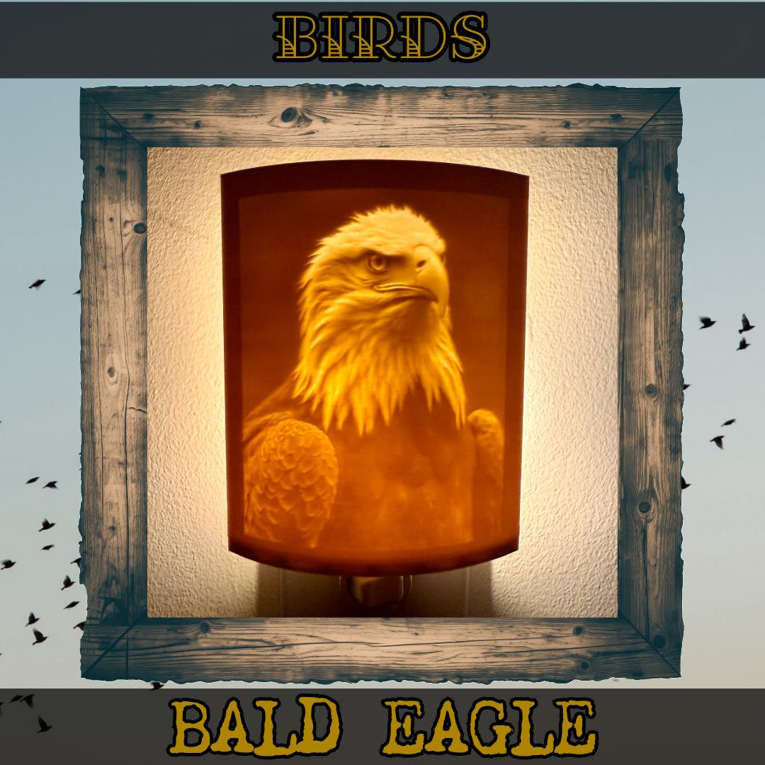 Birds | Animal Night Lights | 3D Printed Avian Wildlife Decor