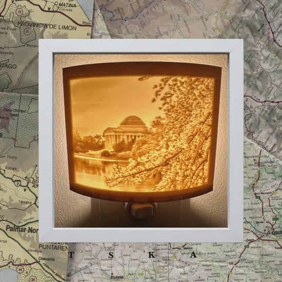 Local Sights Night Lights | 3D Printed Washington D.C. Decor